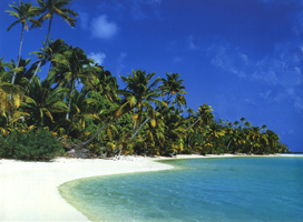 beach, white sand, palms, ocean