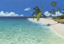 auqua ocean view, beach, palms