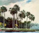 palms, canoe, bay