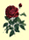 spiritual red rose reversed