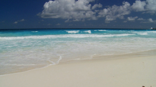 Paradise Waves
